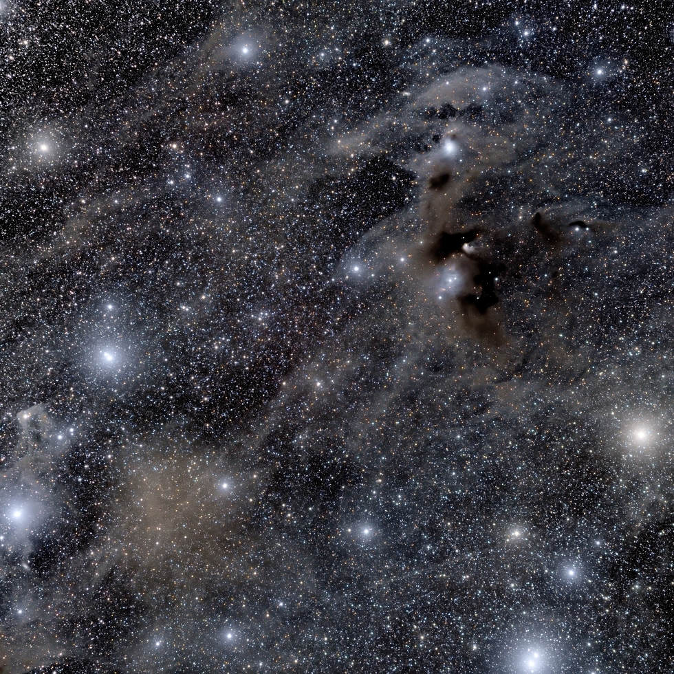 The Chamaeleon DN Complex Telescope Live